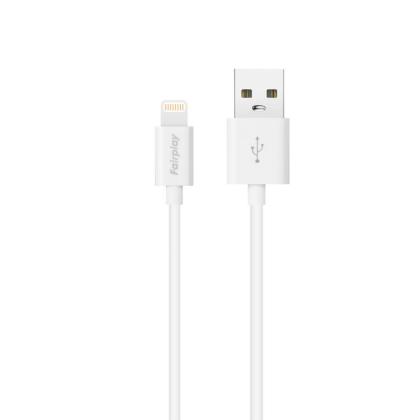 Câble USB vers Lightning - 1 m