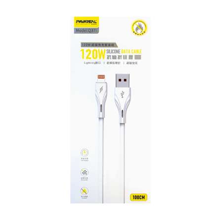 Câble USB Lightning PAVAREAL 120W Charge Rapide - 1m - Vue principale