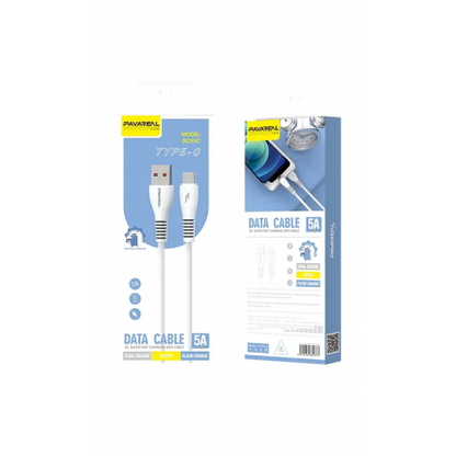 Câble USB vers USB-C Blanc PAVAREAL DC99C 5A - 1m