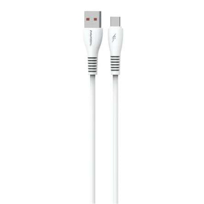 Câble USB vers USB-C Blanc PAVAREAL DC99C 5A - 1m