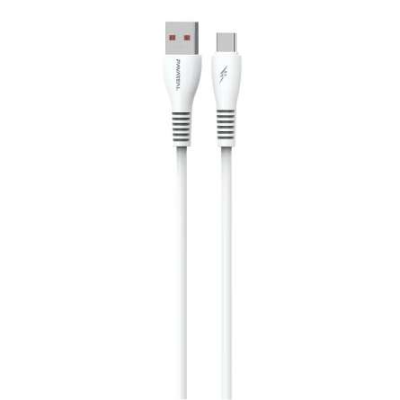 Câble USB vers USB-C Blanc PAVAREAL DC99C 5A - 1m